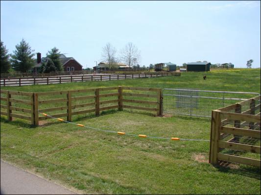 Our new arena at Half Ass Acres Miniature Donkey Farm