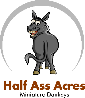 Half Ass Acres 55