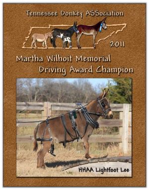 Matha Wilhoit Memorial Driving Award