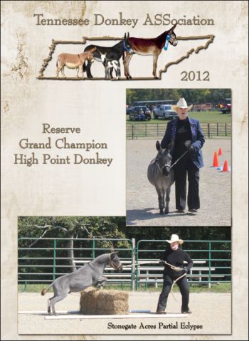 2012 Reserve Grand Champion
