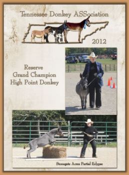Reserve Grand Champion High Point Donkey!
