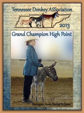 2013 Granc Champion High Point Donkey of The Tennessee Donkey ASSociation!