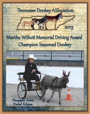 2013 Champion Seasoned Driving Donkey
