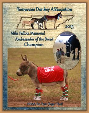 Roger That - 2013 High Point Champion Ambassador Donkey!