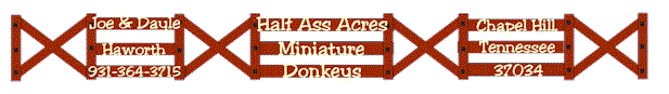 Half Ass Acres Miniature Donkeys