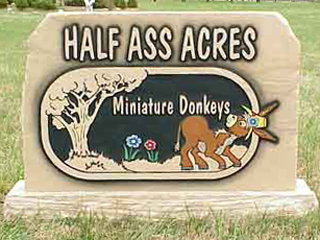 Half Ass Acres Barn Logo