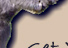 Miniature Donkeys For Sale!