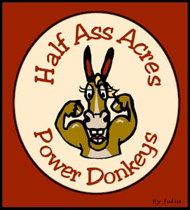 Power Donkeys ~ Geldings!!!!