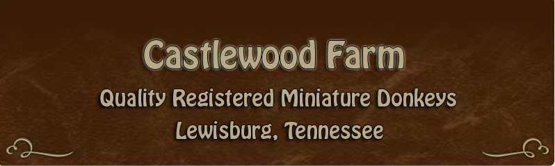 Castlewood Farm
