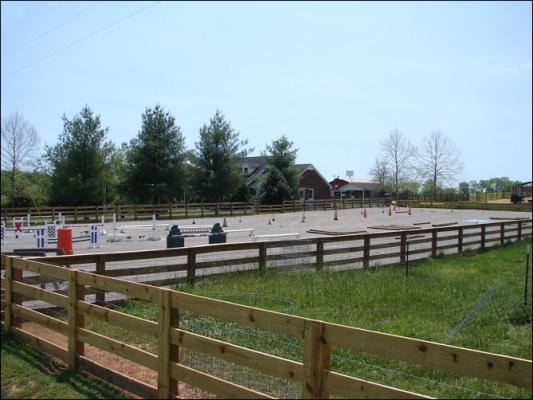 Our new arena at Half Ass Acres Miniature Donkey Farm