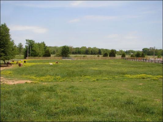 Our new arena at Half Ass Acres Miniature Donkey Farm