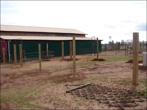 Half Ass Acres Miniature Donkey Farm Improvements