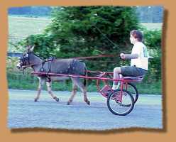 Jess & Liza's first driving lesson! (8234 bytes)