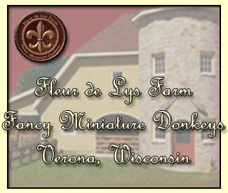 Fleur de Lys Farm ~ Fancy Miniature Donkeys in Verona, Wisconsin