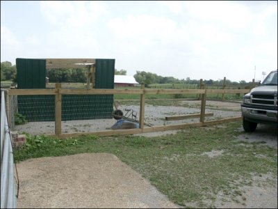 New Jack Paddock in progress