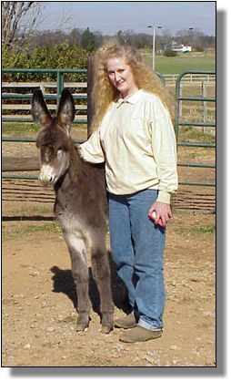 Half Ass Acres Soggy Bottom Boy, Champion Donkey!!